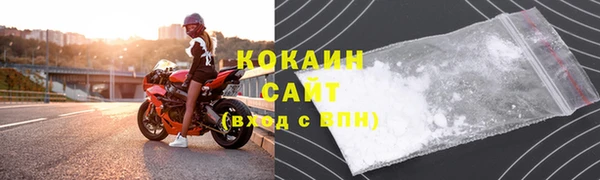 шишки Мегион