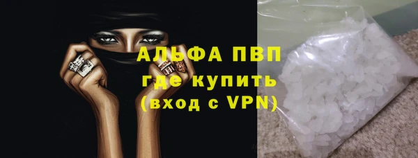 шишки Мегион