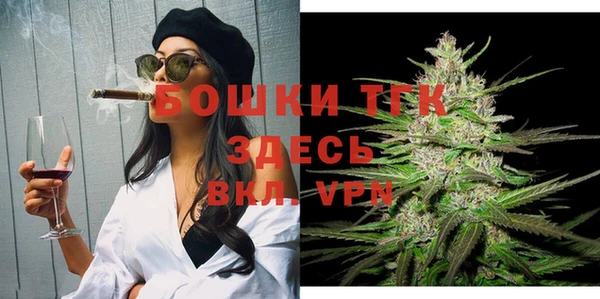 шишки Мегион