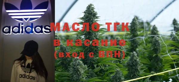 шишки Мегион