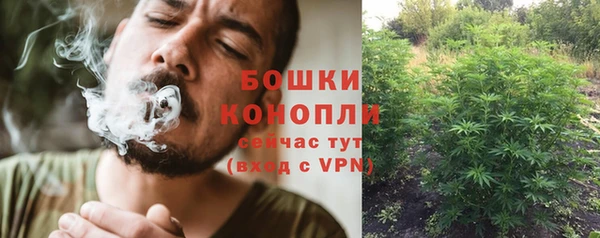 мдпв Медногорск