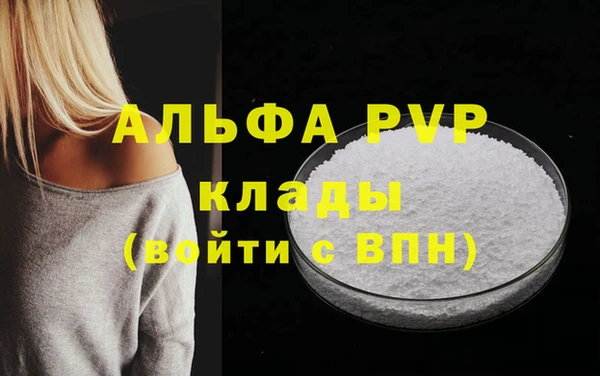 шишки Мегион