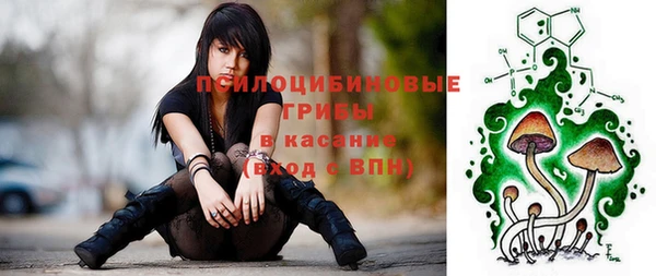 шишки Мегион